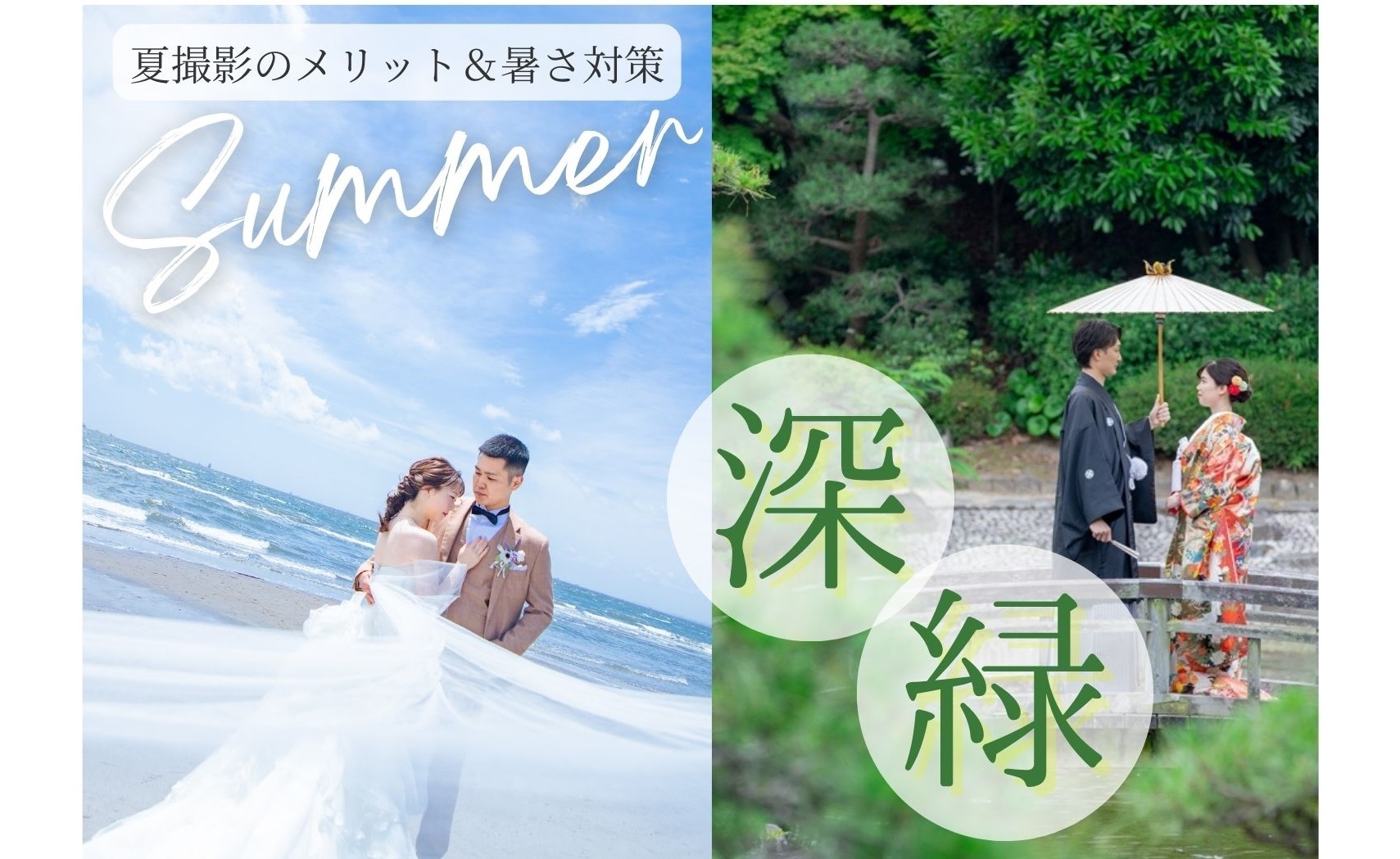 8月は”深緑”がオススメ】夏の暑さ対策5選と夏撮影のメリットをご紹介