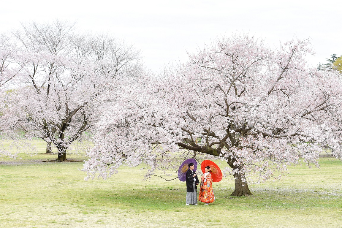 和装前撮り フォトウェディングに 春のおすすめロケーション10選 和装で挙げる結婚式 前撮り撮影の華雅苑